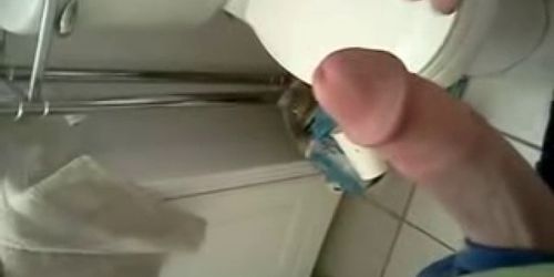 Couples bathroom fuck