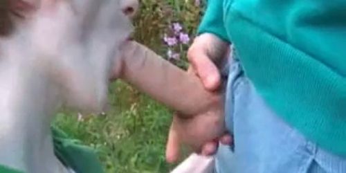 Outdoor Fun Uncut Cock Blowjob