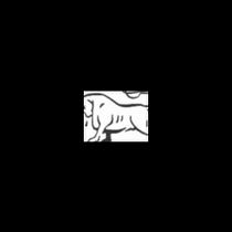 bareback