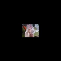 feetallergie1