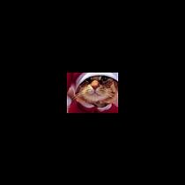 Kuii